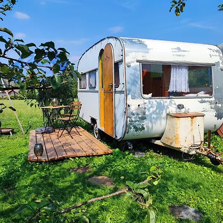 Domek letniskowy Lilly