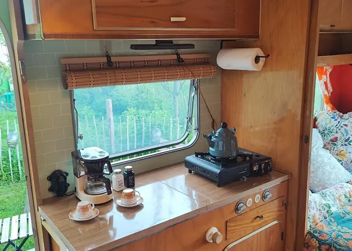 Lilly * Tratten (Neunkirchen)