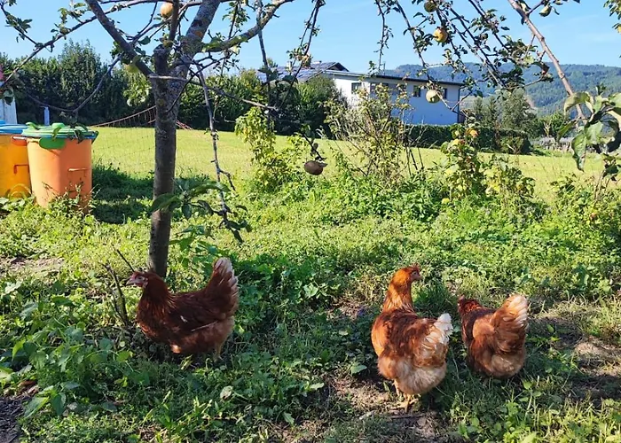 Lilly Tratten (Neunkirchen)